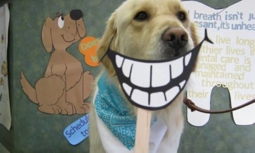 Brigadier the dog with smiling teeth icon in front of it