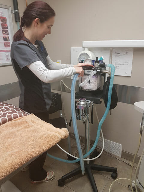 Laurie preparing equipment for dental procedure