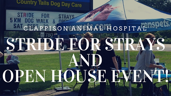 Clappison Animal Hospital exterior with Stride for Strays and Open House Event text overlay