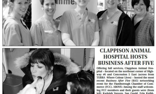 Clappison Animal Hospital staff & Haley Luckanuck in the Flamborough Chamber of Commerce Newsletter