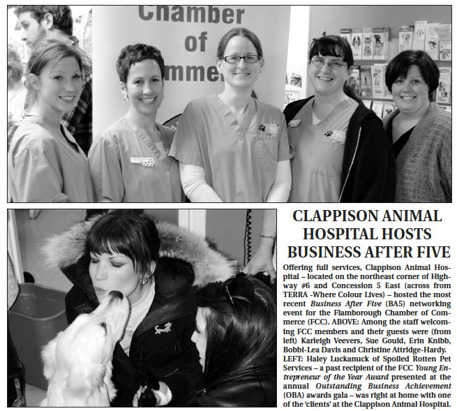 Clappison Animal Hospital staff & Haley Luckanuck in the Flamborough Chamber of Commerce Newsletter