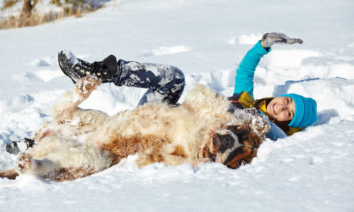Dog and owner playing in the snow