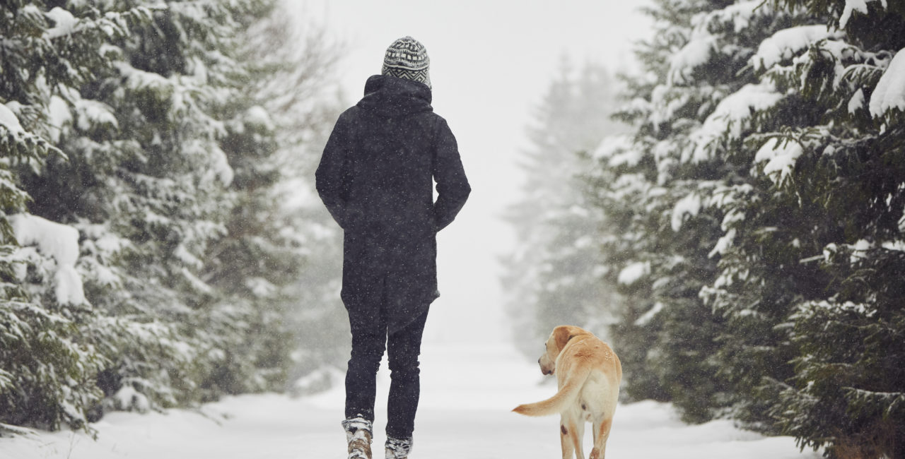 winter dog walks