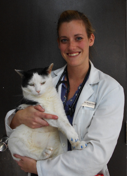Dr.Barrett at Clappison Animal Hospital