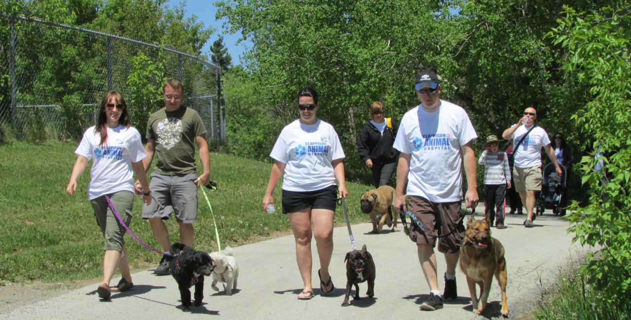Stride for Strays participants