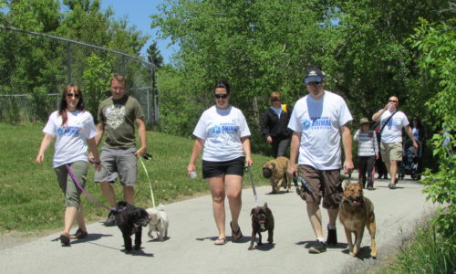 Stride for Strays participants