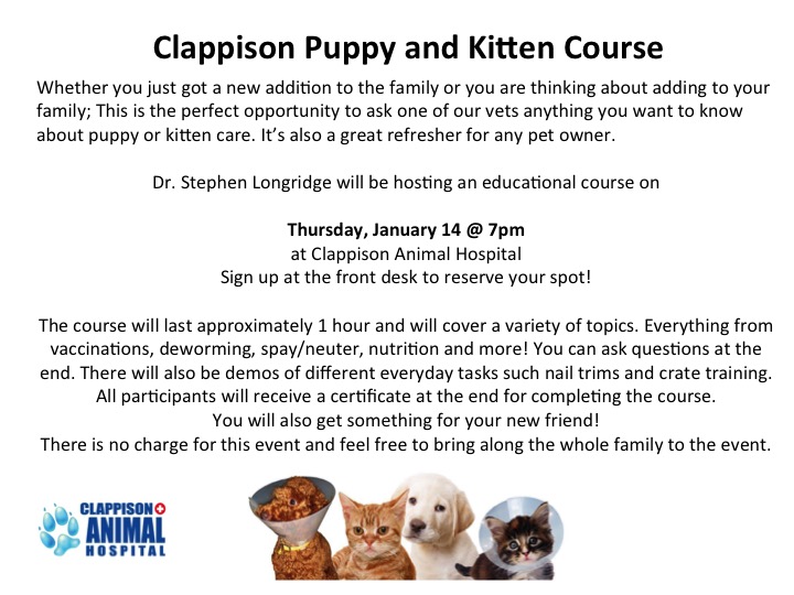 Clappison Puppy and Kitten Course event poster