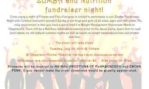 Zumba and Nutrition fundraiser night event poster
