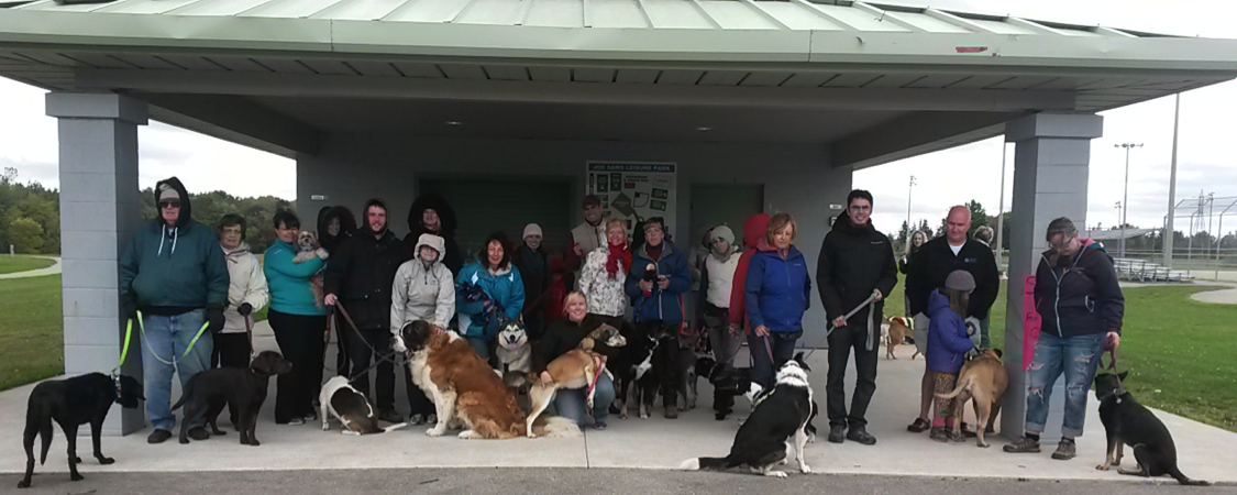 Group photo of Stride for Strays 2015 participants