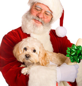 Santa holding a dog
