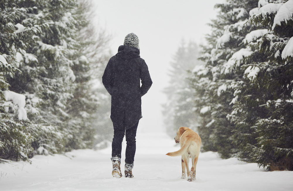 Dog and owner walking in the snow