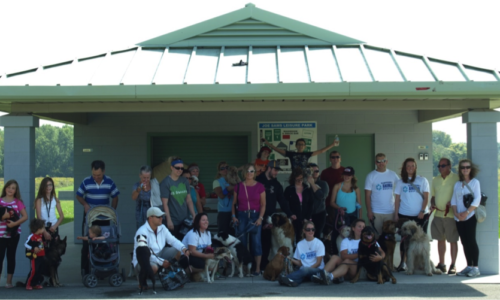 Group photo of Stride for Strays participants